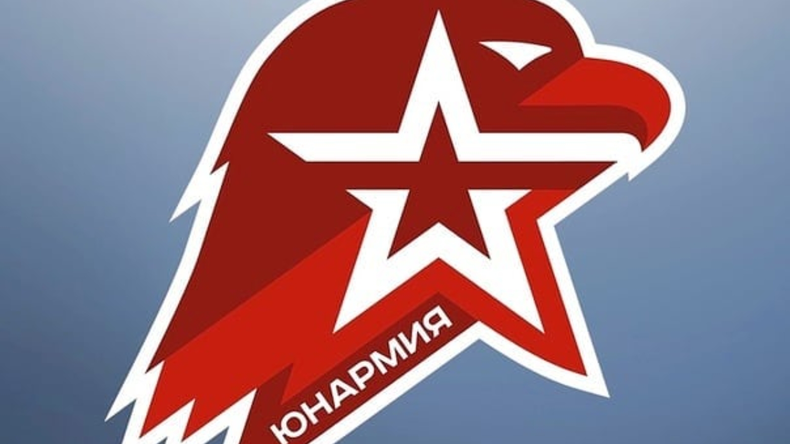 VI СЛЁТ ЮНАРМЕЙСКИХ ОТРЯДОВ МЕСТНОГО ОТДЕЛЕНИЯ .
